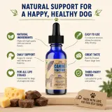 Canine CBD Hemp Oil Tincture THC Free thumbnail