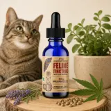 THC Free CBD Cat Oil Tincture thumbnail