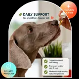 Pet Organic Full Spectrum CBD Oil - Unflavored thumbnail