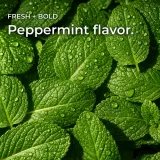 Calm CBD Oil Tincture thumbnail