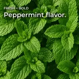 Dream CBD Oil Tincture thumbnail