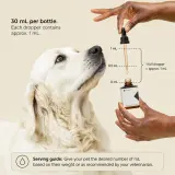 Pet CBD Oil Tincture thumbnail
