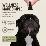 Pet CBD Oil Tincture thumbnail
