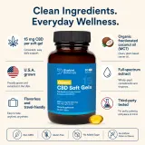 Classic CBD Oil Soft Gels thumbnail