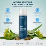 Max Recover Airless Pump thumbnail