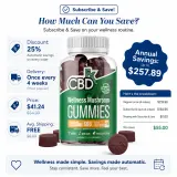 CBD Gummies With Mushrooms for Wellness thumbnail