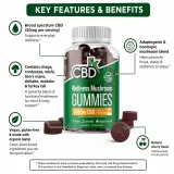 CBD Gummies With Mushrooms for Wellness thumbnail
