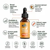 CBD Oil For Dogs - Chicken Flavored thumbnail