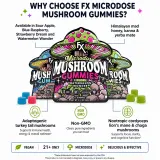 Microdose Mushroom Gummies thumbnail