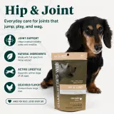 Hip & Joint Chews for Dogs thumbnail