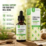 Broad Spectrum CBD Oil for Dogs & Cats thumbnail