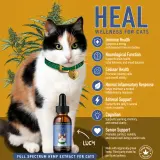 HEAL: Immune & Inflammatory Balance for Cats thumbnail