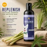 Replenish CBD Dog Shampoo thumbnail