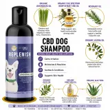 Replenish CBD Dog Shampoo thumbnail