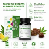 Pineapple Express Gummies thumbnail