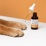 CBD Oil for Pets thumbnail