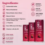 Black Cherry CBD Sparkling Water thumbnail