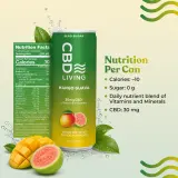 CBD Sparkling Water Mango Guava thumbnail