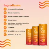 CBD Sparkling Water Orange Grapefruit 12-Pack thumbnail