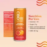 CBD Sparkling Water Orange Grapefruit 12-Pack thumbnail