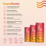 CBD Sparkling Water Peach Honey 12-Pack thumbnail