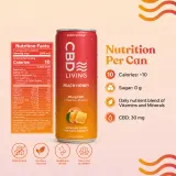 CBD Sparkling Water Peach Honey 12-Pack thumbnail