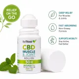 Hemp CBD Muscle & Joint Roll On thumbnail
