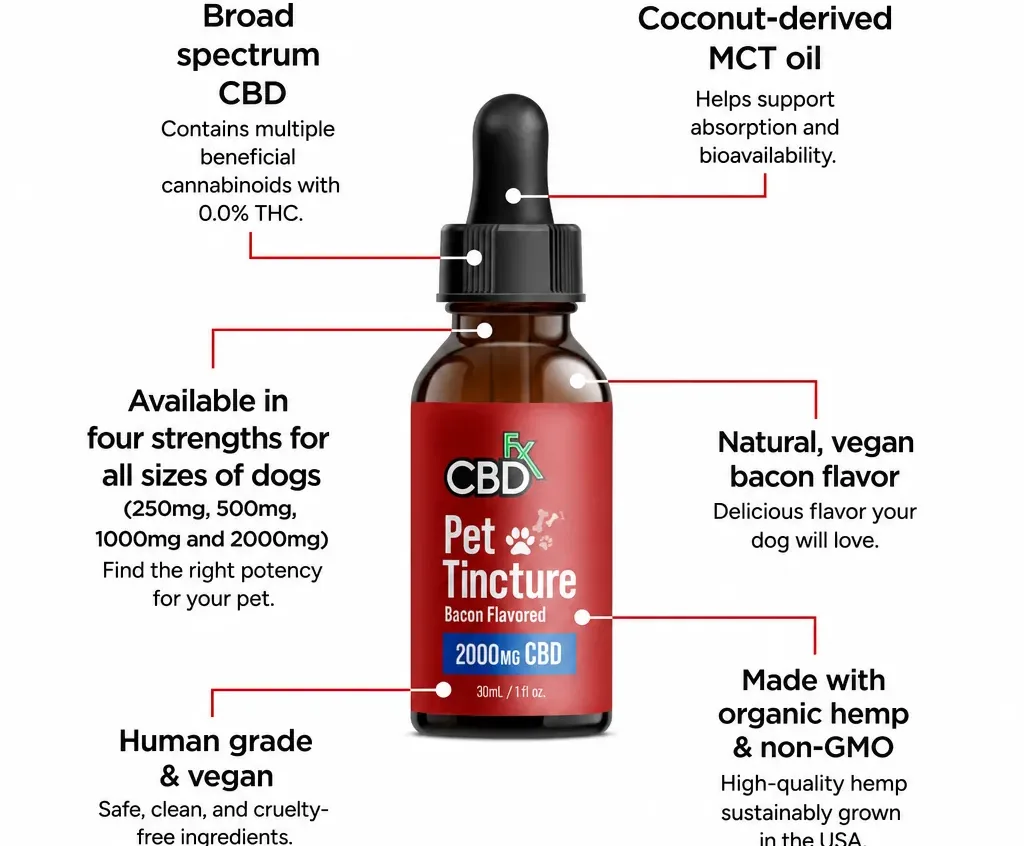 CBDfx CBD Oil for Dogs - Bacon Flavored image 2