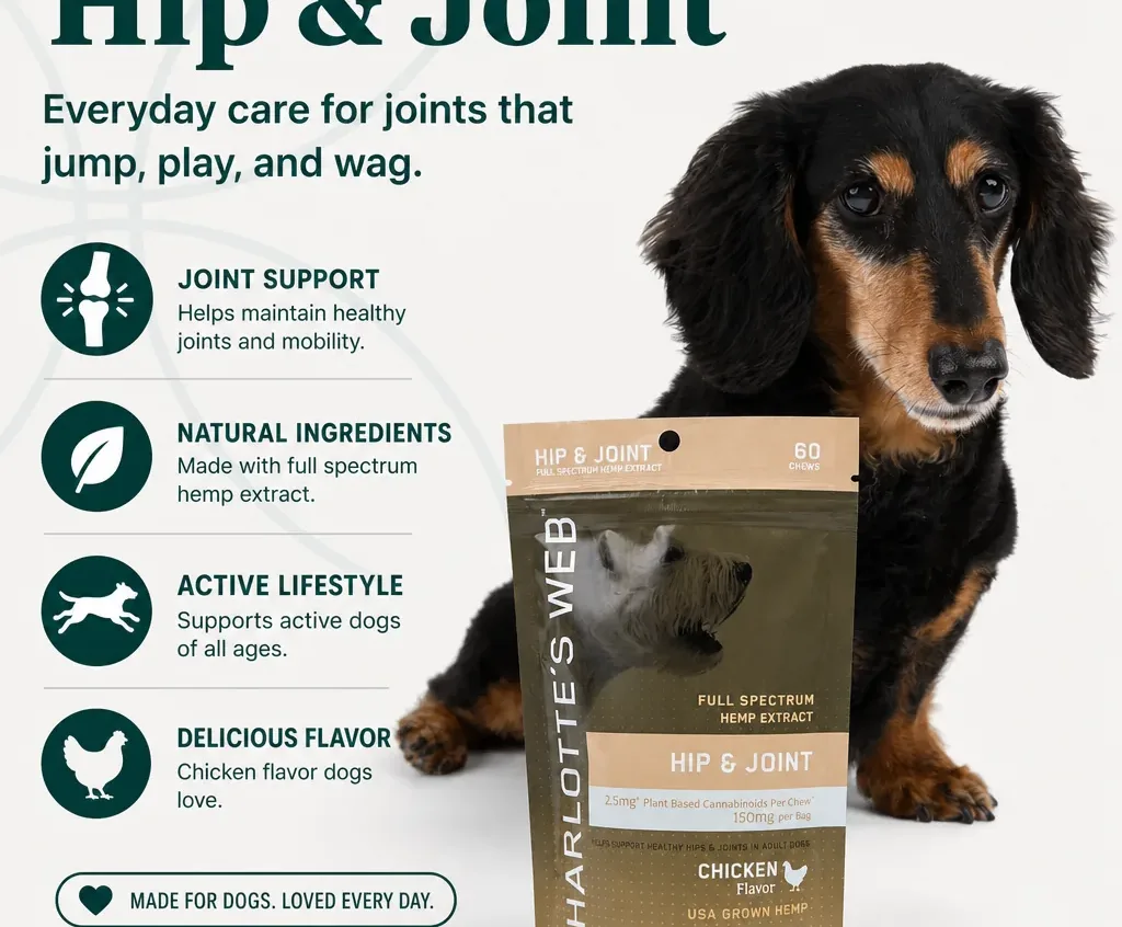 Charlotte’s Web Hip & Joint Chews for Dogs image 2