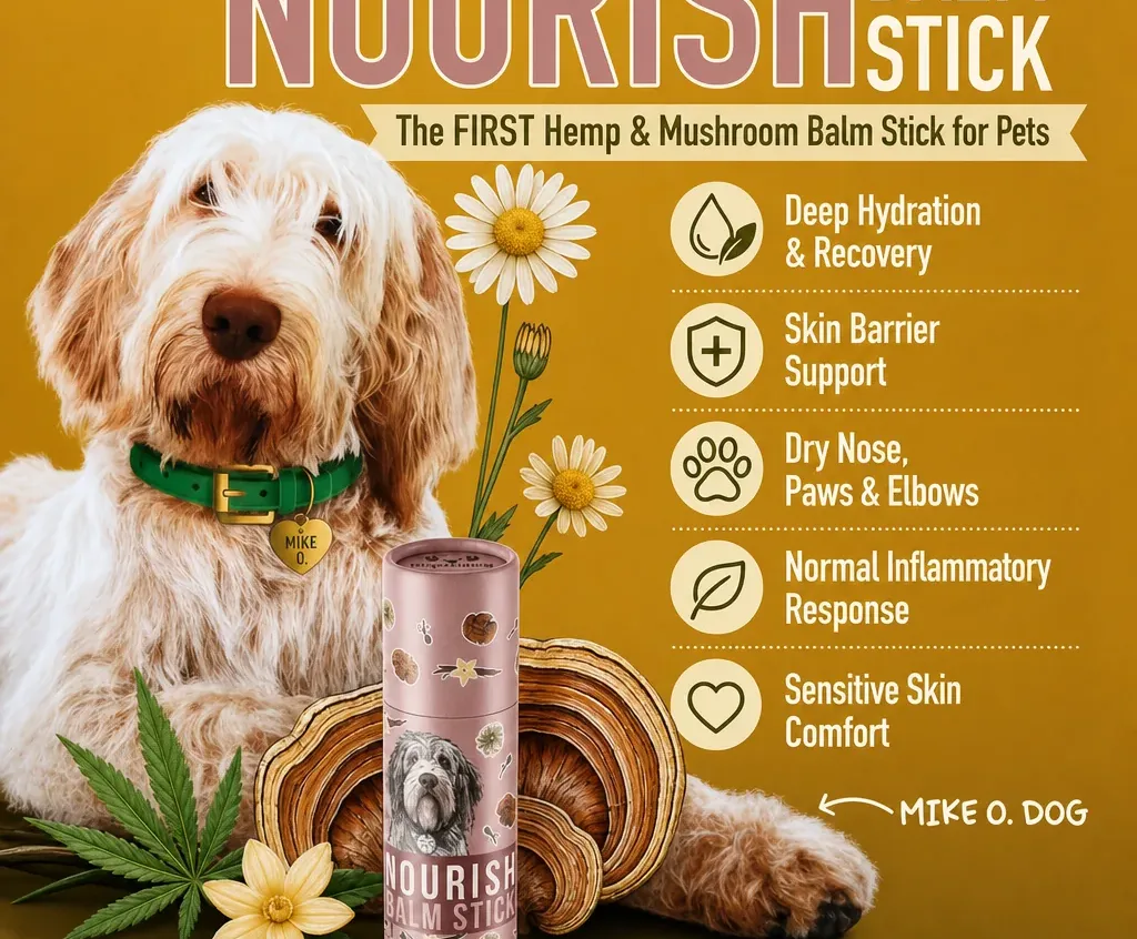 Dog Health Nourish Balm Stick for Dogs image 3
