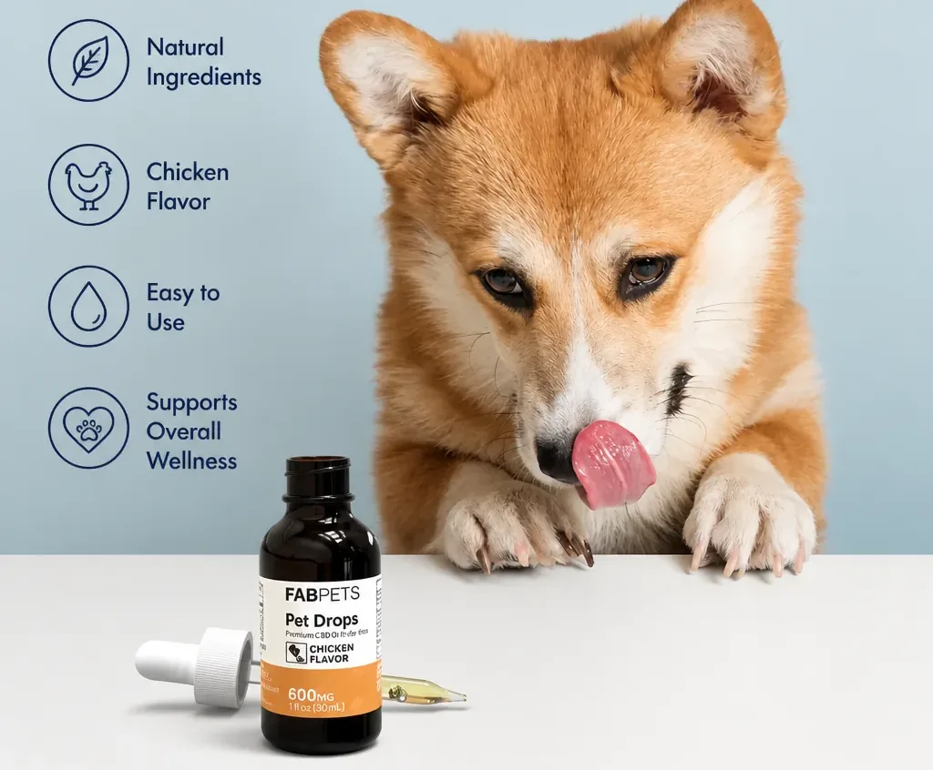 FABCBD CBD Oil for Pets image 3