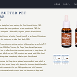 Peanut Butter CBD Tincture for Dogs thumbnail
