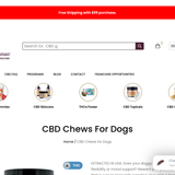 CBD Chews for Dogs thumbnail