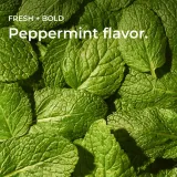 Dream CBD Oil Tincture thumbnail