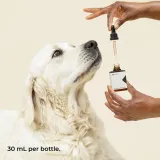 Pet CBD Oil Tincture thumbnail