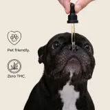 Pet CBD Oil Tincture thumbnail