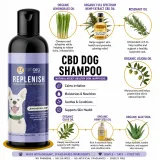 Replenish CBD Dog Shampoo thumbnail