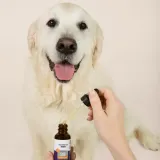 Daily Relief Pet CBD Tincture thumbnail