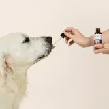 Daily Relief Pet CBD Tincture thumbnail