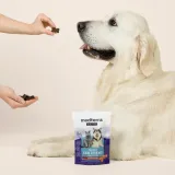 Pet CBD Calming Chews thumbnail