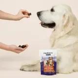 Pet CBD Joint Support Chews thumbnail