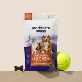 Pet CBD Joint Support Chews thumbnail