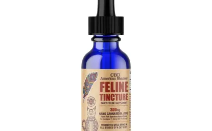CBD Oil for Cats Tincture
