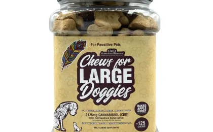 Large Dog Treats with CBD