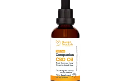 CBD Oil for Pets