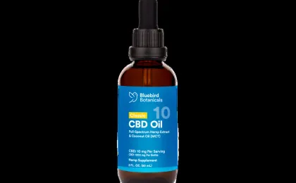 Classic CBD Oil