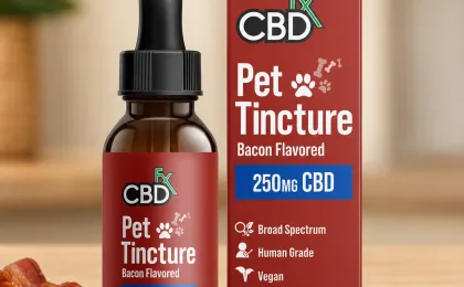 CBD Oil for Cats