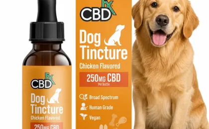 CBD Oil For Dogs - Chicken Flavored