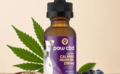 Broad Spectrum CBD Dog Calming Oil Tincture