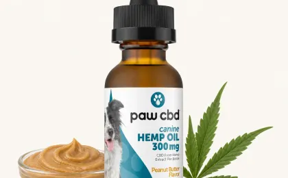 Broad Spectrum CBD Dog Oil Tincture